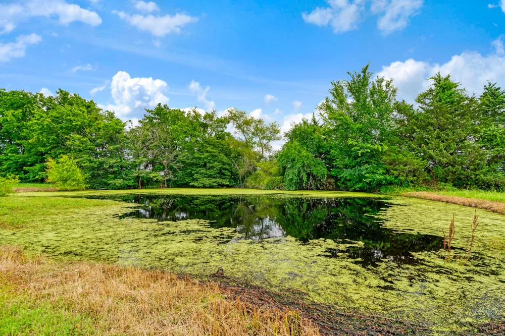 1250 CR 32240 Sumner, TX 75486