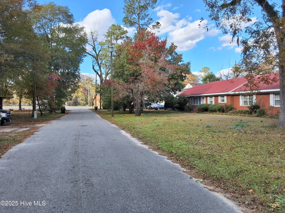33 Gapway Road Fair Bluff, NC 28439