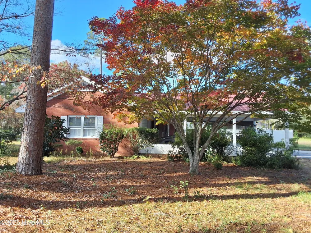 33 Gapway Road Fair Bluff, NC 28439
