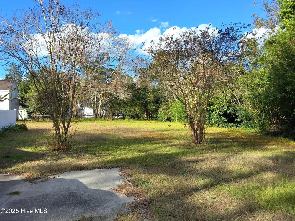 33 Gapway Road Fair Bluff, NC 28439