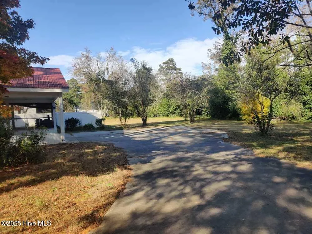 33 Gapway Road Fair Bluff, NC 28439