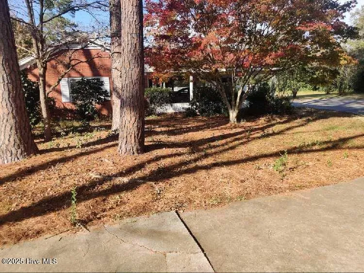 33 Gapway Road Fair Bluff, NC 28439
