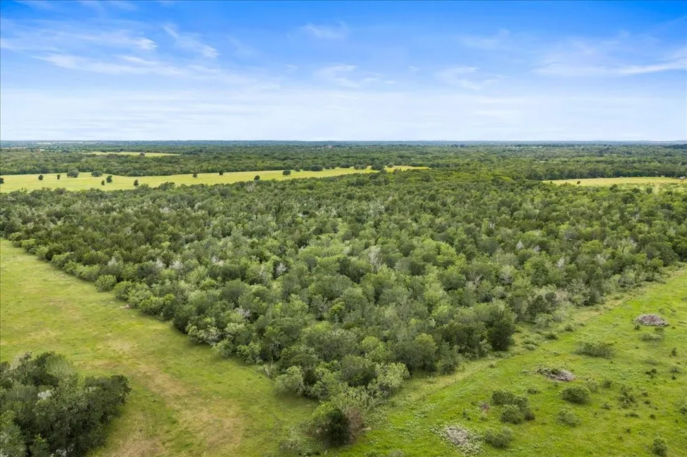 288 Charcoal Road Waelder, TX 78959