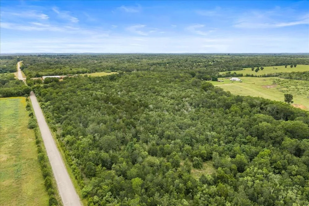 288 Charcoal Road Waelder, TX 78959