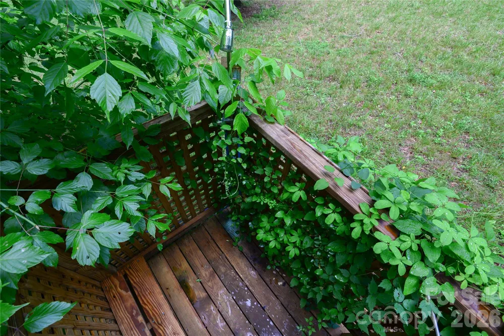 24 Sarabec Hill Road Black Mountain, NC 28711