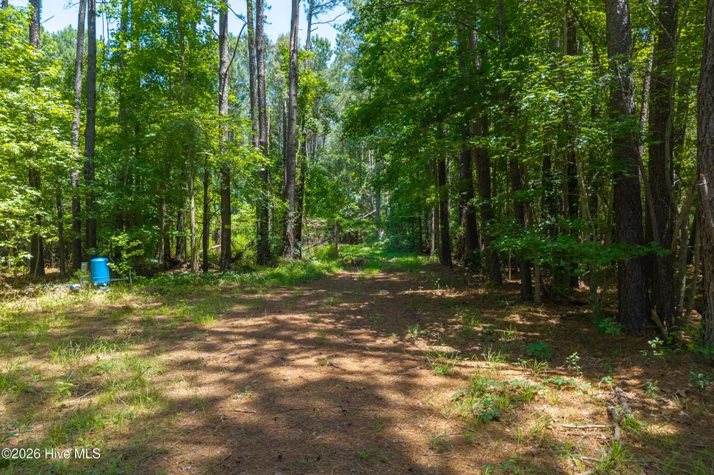 674 State Road 1415 Greenville, NC 27834