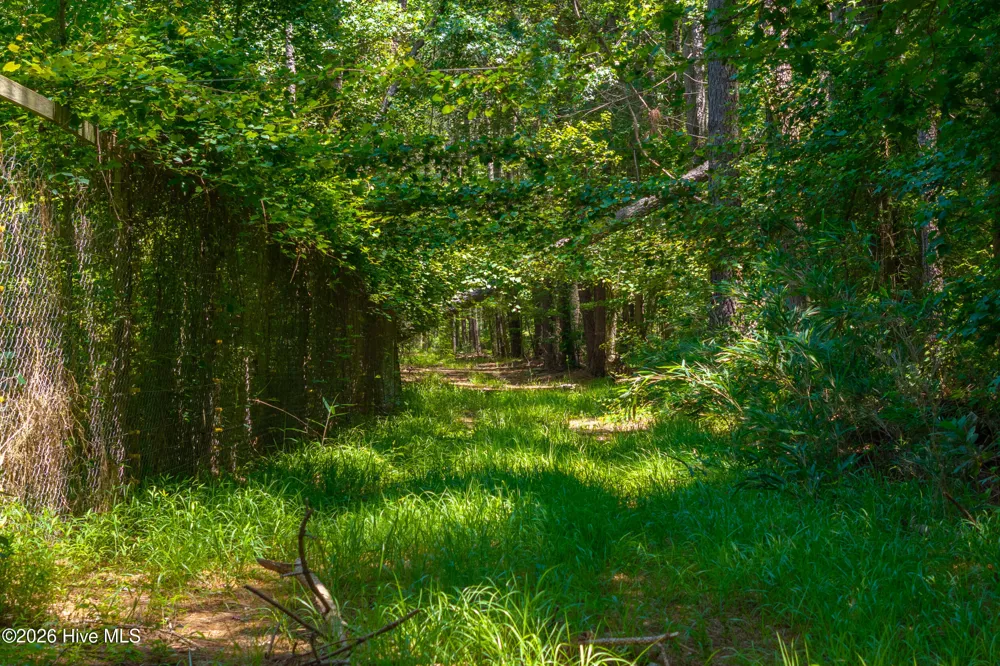 674 State Road 1415 Greenville, NC 27834