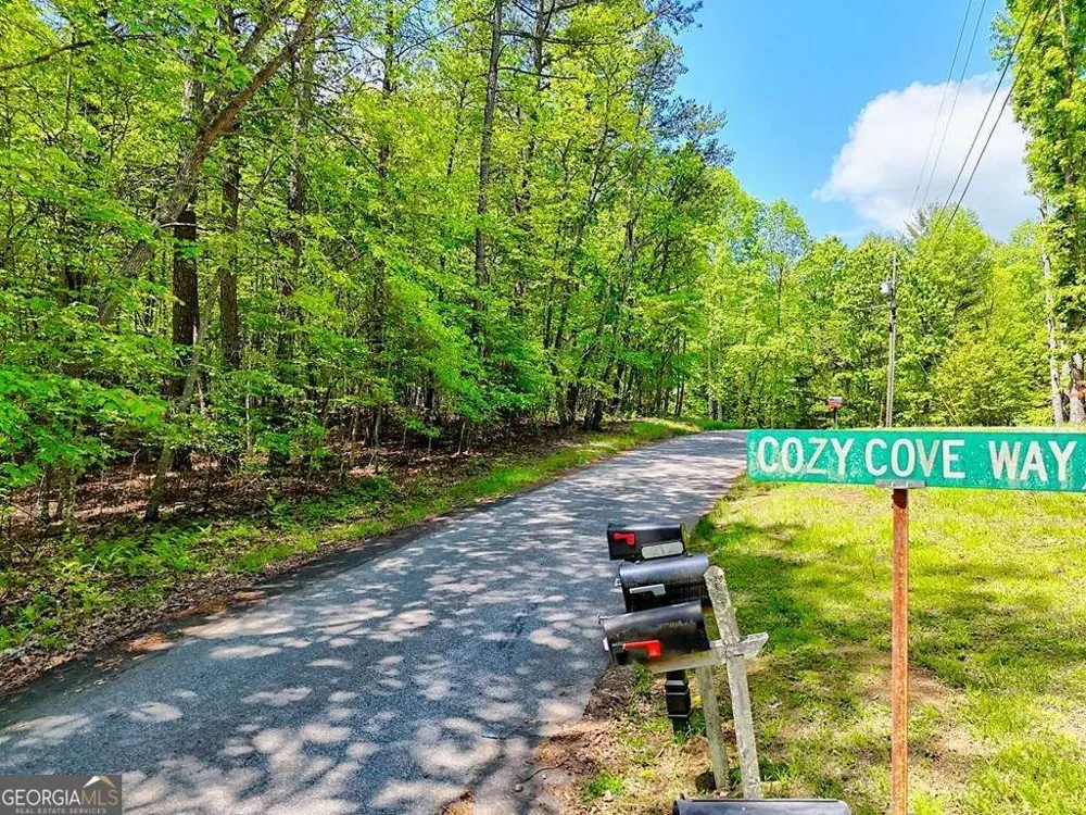 LOTS 3&5 Cozy Cove RD Blairsville, GA 30512