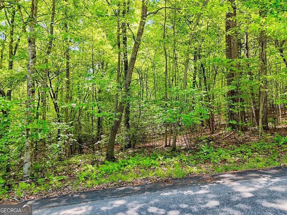 LOTS 3&5 Cozy Cove RD Blairsville, GA 30512