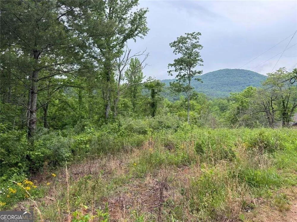 LOT 7D Meadow View LN Cleveland, GA 30528