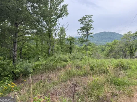 LOT 7D Meadow View LN
