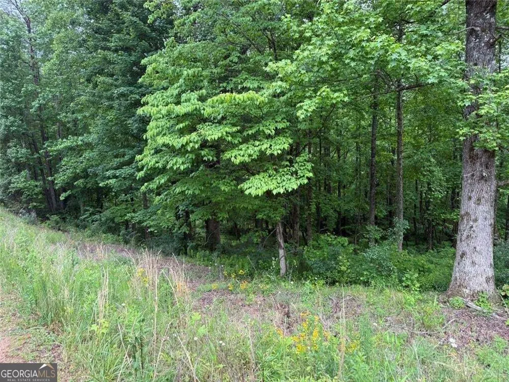 LOT 7D Meadow View LN Cleveland, GA 30528