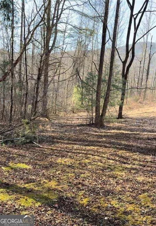 LOT 7D Meadow View LN Cleveland, GA 30528
