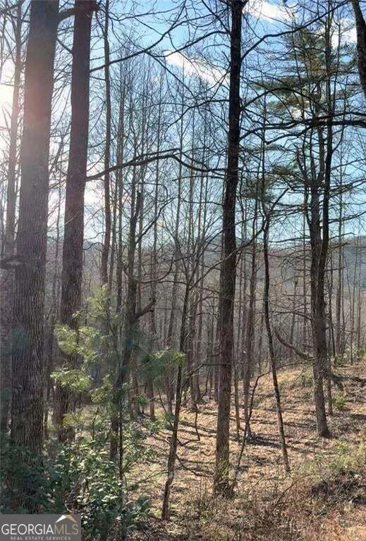 LOT 7D Meadow View LN Cleveland, GA 30528