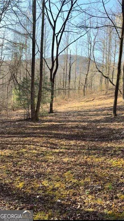 LOT 7D Meadow View LN Cleveland, GA 30528