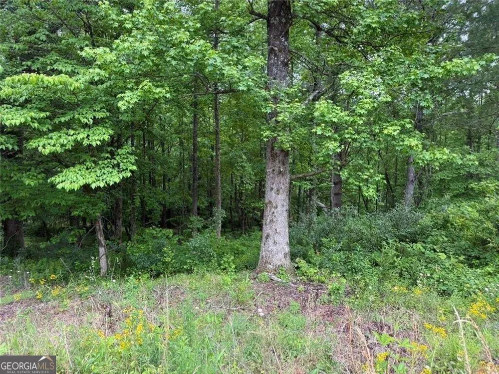 LOT 7D Meadow View LN Cleveland, GA 30528