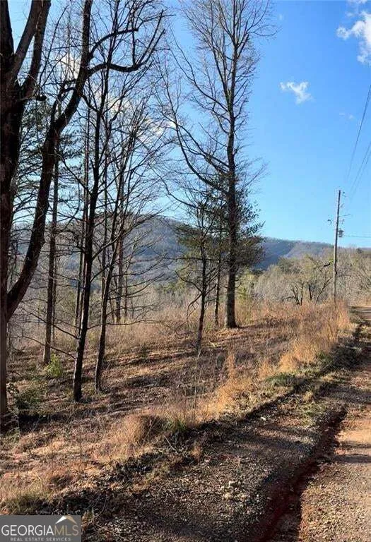 LOT 7D Meadow View LN Cleveland, GA 30528