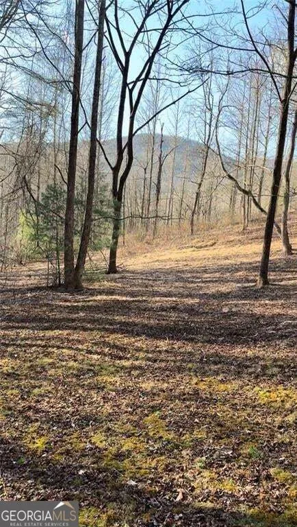 LOT 7D Meadow View LN Cleveland, GA 30528