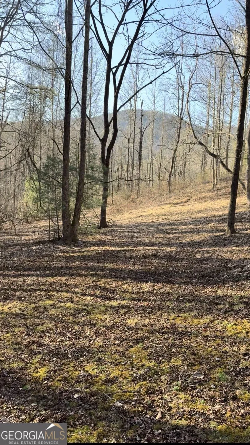 LOT 7D Meadow View LN Cleveland, GA 30528