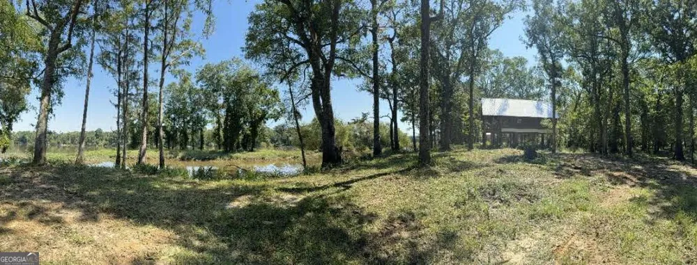 0 Eagles Point Surrency, GA 31563