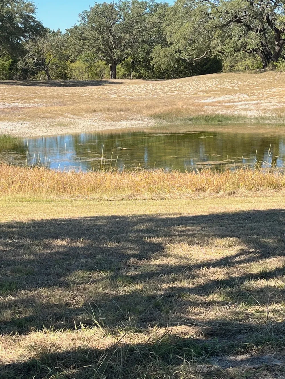 915 W Hwy 84 Highway W Mullin, TX 76864