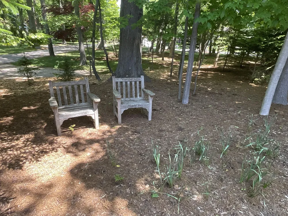 72 Wilderness Ridge Drive Douglas, MI 49406
