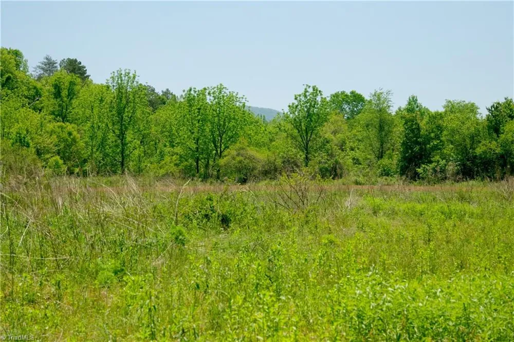 2 Morrison Road Morganton, NC 28655