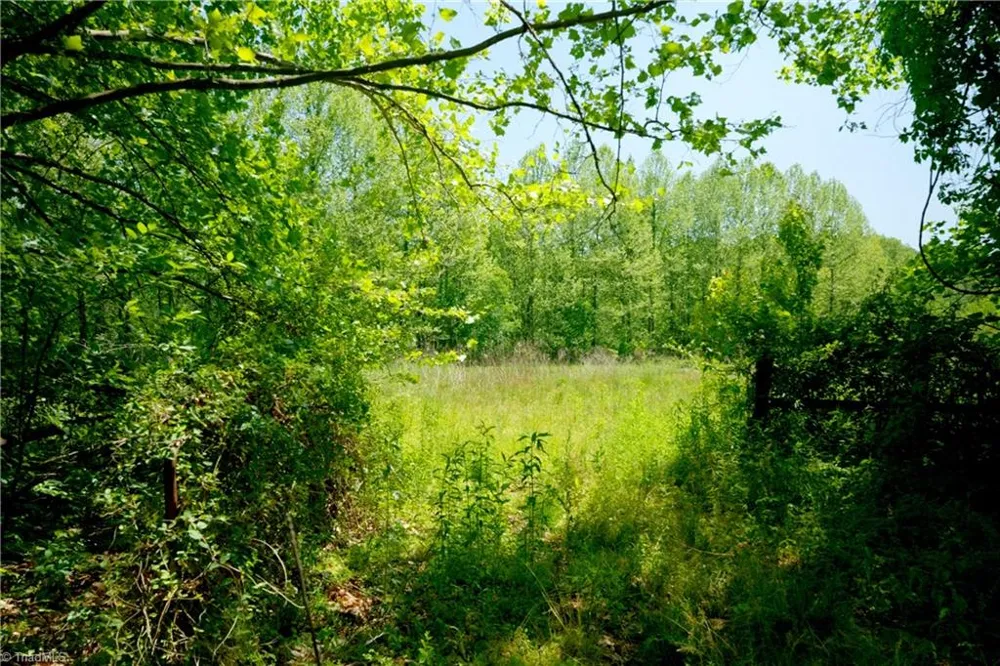 2 Morrison Road Morganton, NC 28655