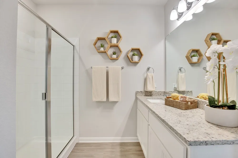 12000 Ellena Cove Austin, TX 78747