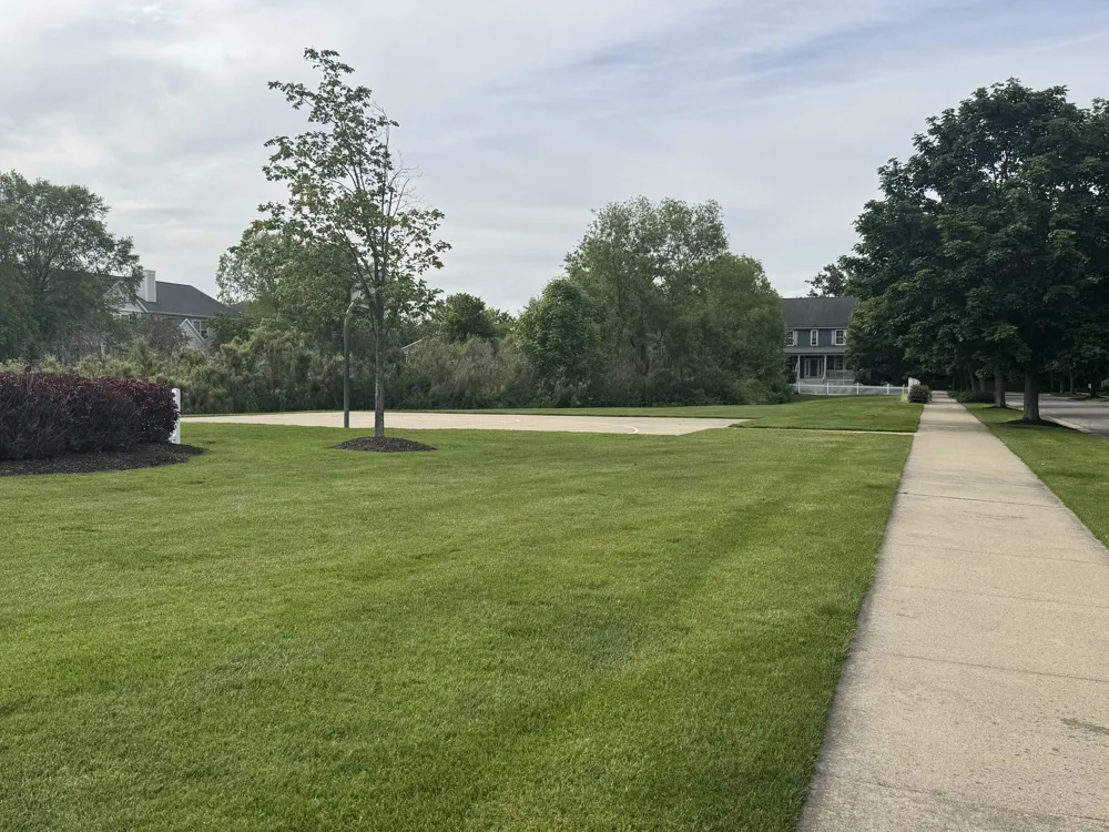 573 Brownstone Street Holland City, MI 49423