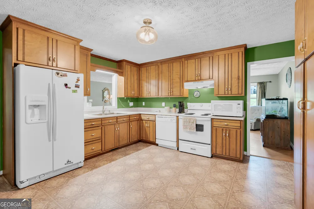 79 Wisteria Cove EST Hartwell, GA 30643