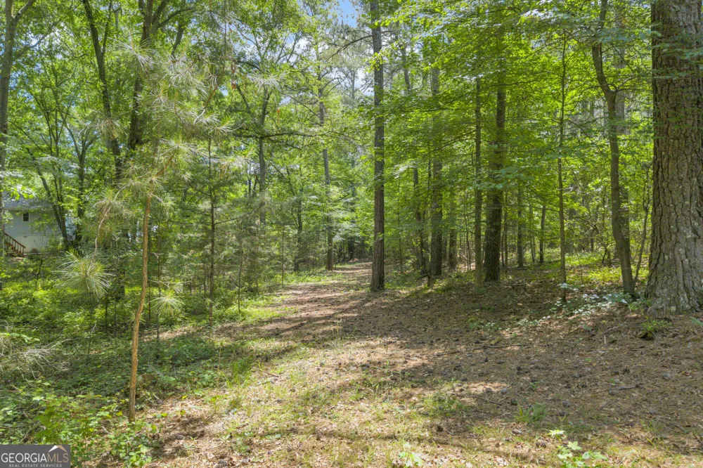 79 Wisteria Cove EST Hartwell, GA 30643