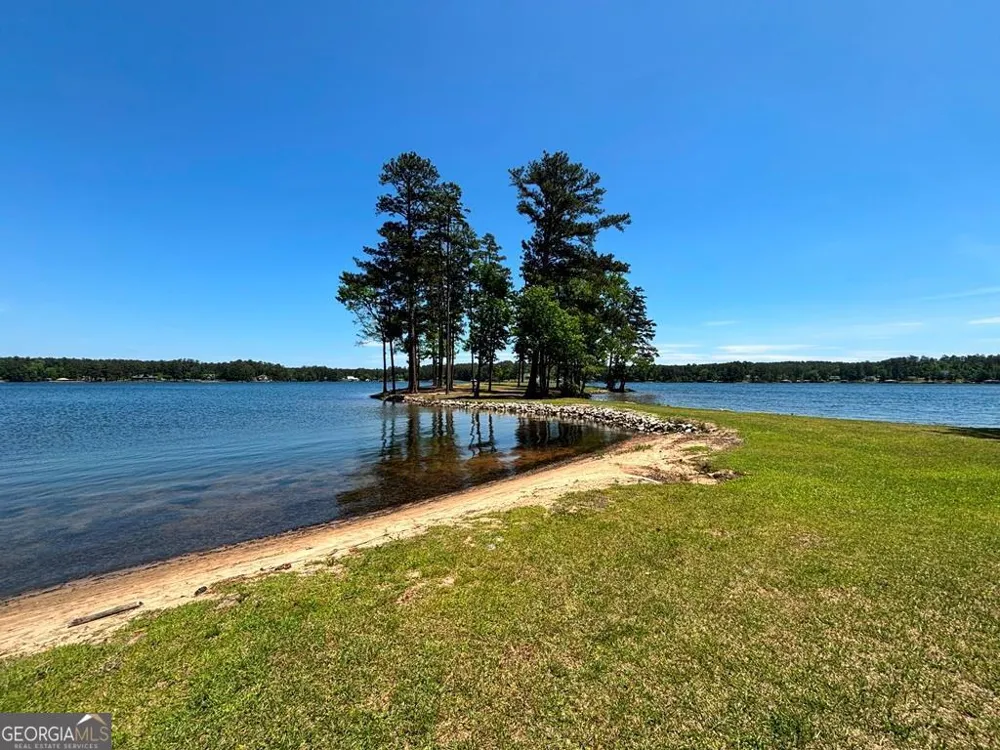 1000 Marigold RD NE Sparta, GA 31087
