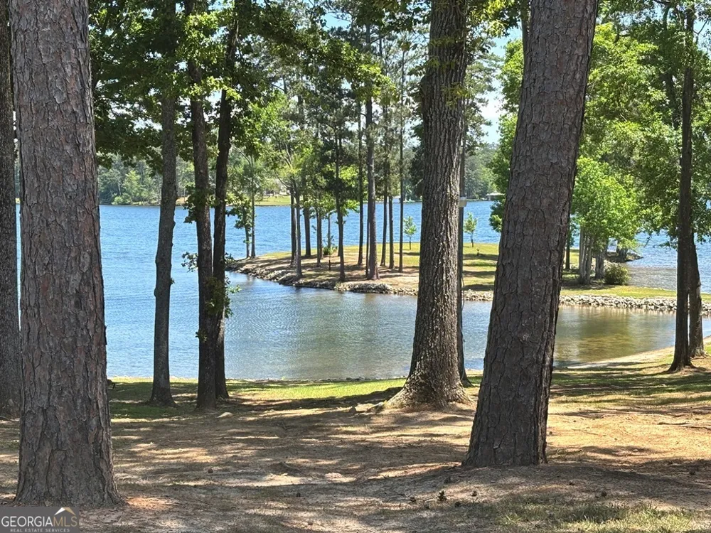 1000 Marigold RD NE Sparta, GA 31087