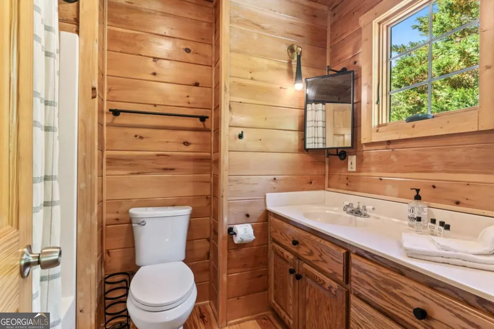 229 Old Mill Pond RD Mineral Bluff, GA 30559