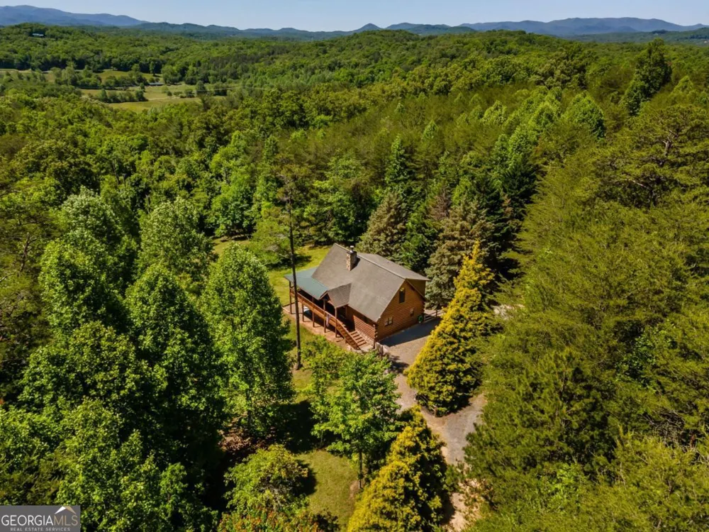 229 Old Mill Pond RD Mineral Bluff, GA 30559
