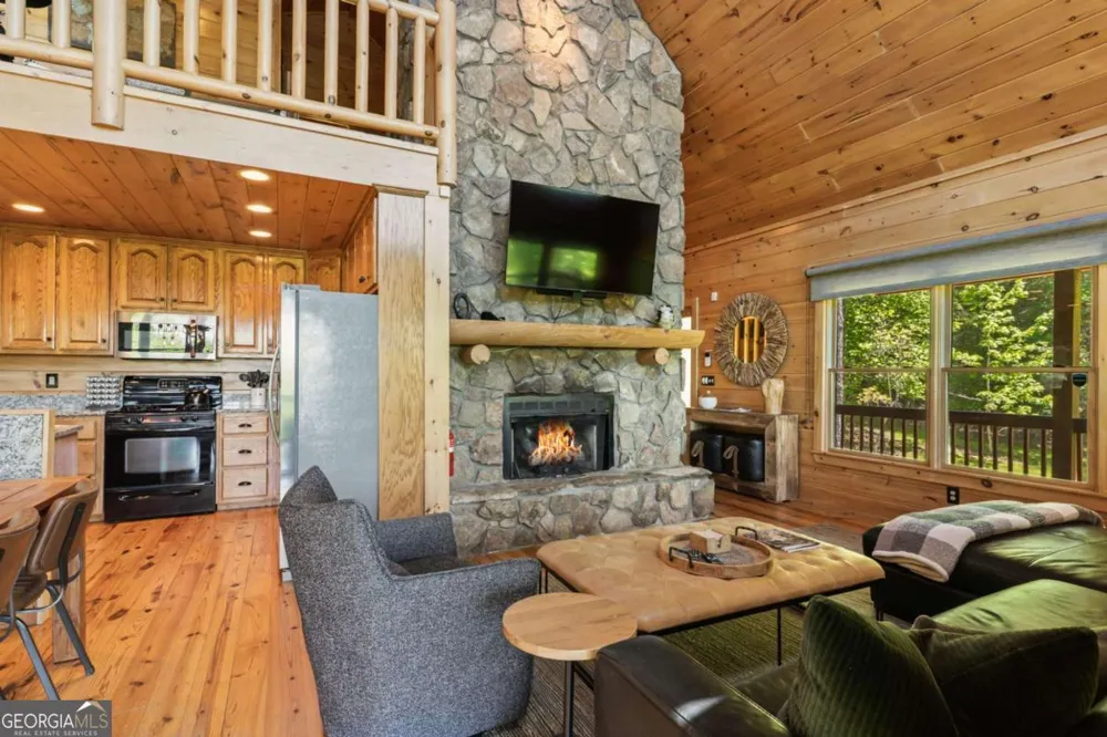 229 Old Mill Pond RD Mineral Bluff, GA 30559
