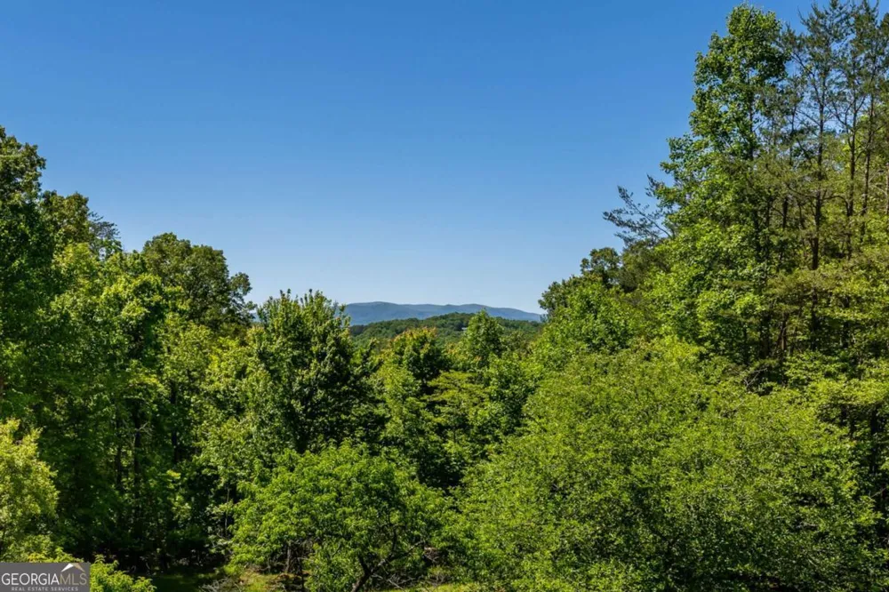 229 Old Mill Pond RD Mineral Bluff, GA 30559