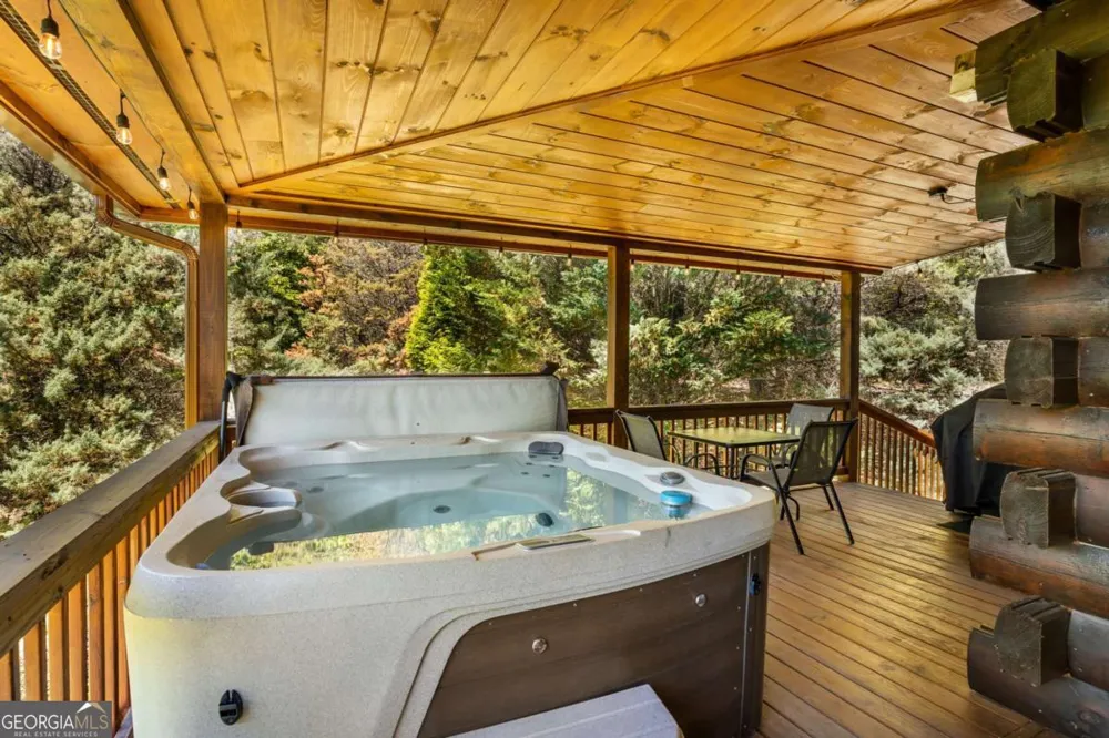 229 Old Mill Pond RD Mineral Bluff, GA 30559