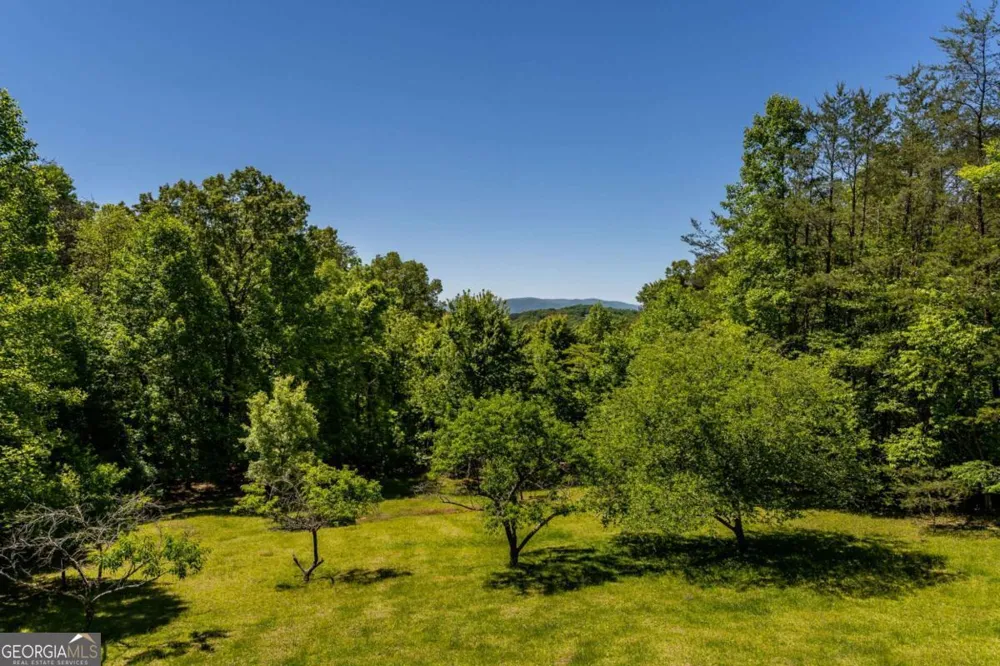 229 Old Mill Pond RD Mineral Bluff, GA 30559