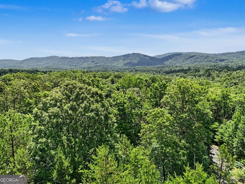 383 Rustic Barn TRL Morganton, GA 30560