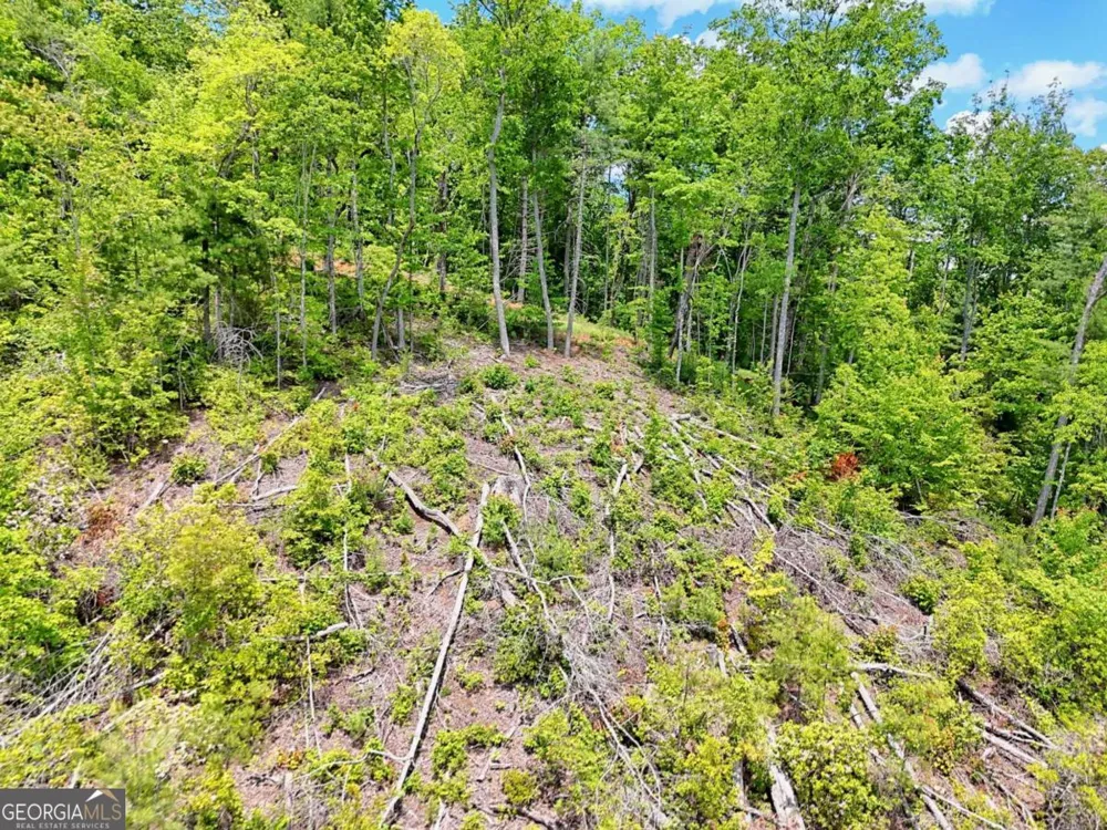 LOT 28 Bryson CRK Murphy, NC 28906