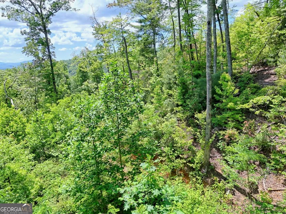 LOT 28 Bryson CRK Murphy, NC 28906