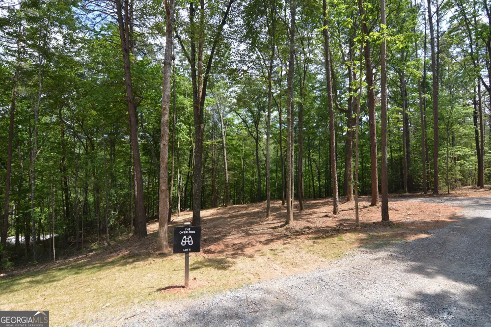 LOT 5 Murphy Hwy (Spur 60) Mineral Bluff, GA 30559