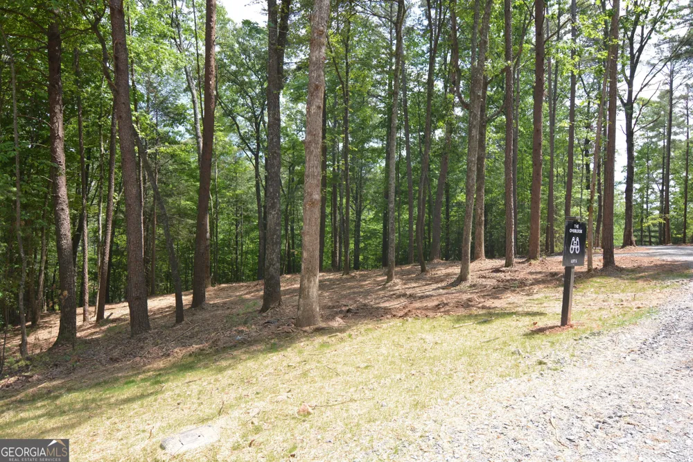 LOT 5 Murphy Hwy (Spur 60) Mineral Bluff, GA 30559