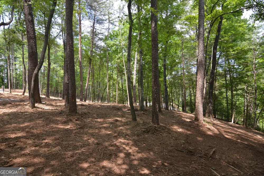 LOT 5 Murphy Hwy (Spur 60) Mineral Bluff, GA 30559