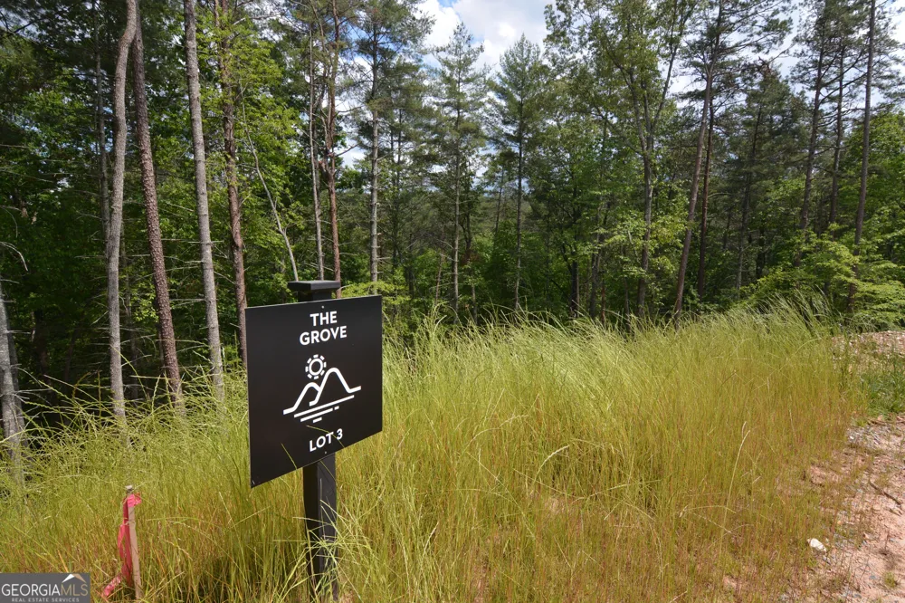LOT 3 Murphy Hwy (Spur 60) Mineral Bluff, GA 30559