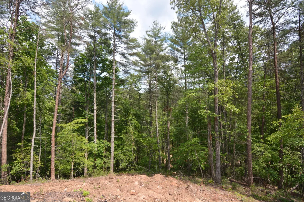 LOT 3 Murphy Hwy (Spur 60) Mineral Bluff, GA 30559