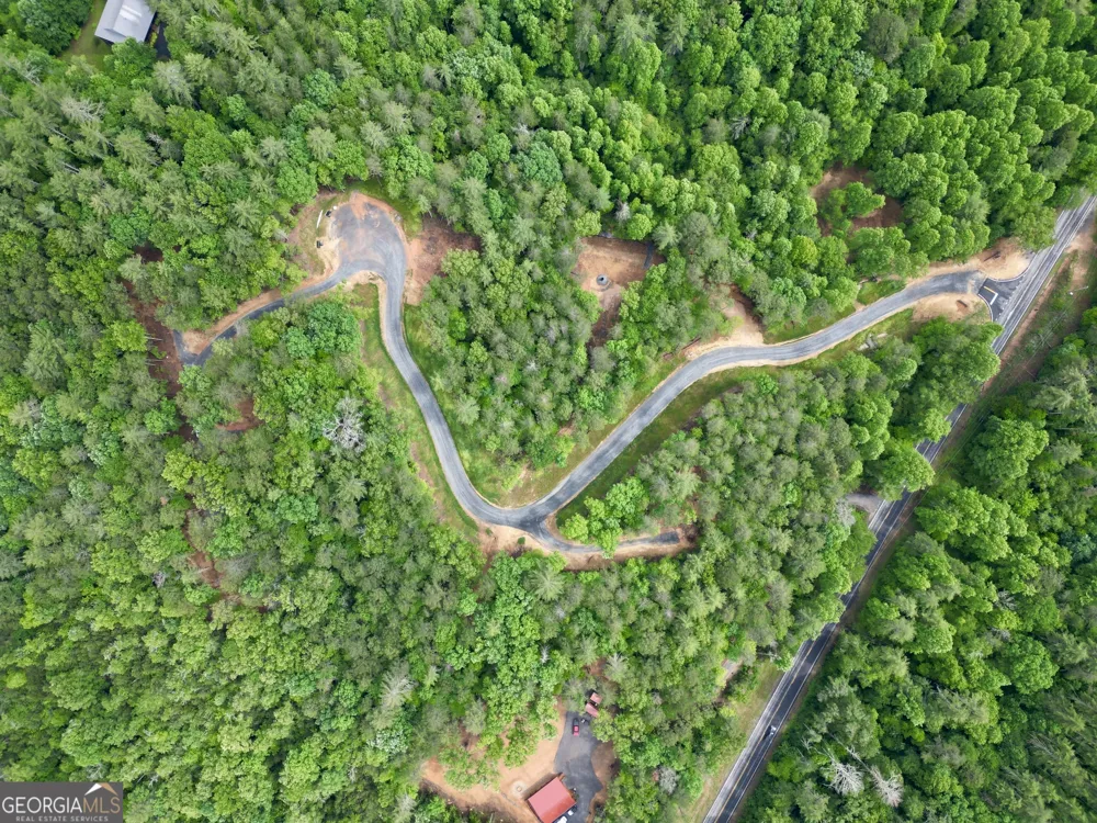 LOT 3 Murphy Hwy (Spur 60) Mineral Bluff, GA 30559