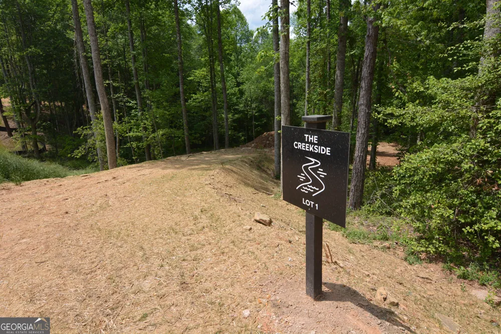 LOT 1 Murphy Hwy (Spur 60) Mineral Bluff, GA 30559